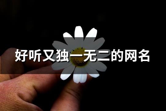 好听又独一无二的网名(共113个)