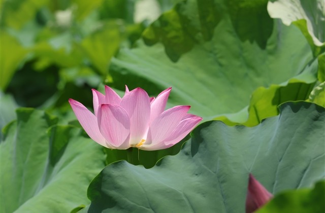 反恐行动好听的名字(精选87个)