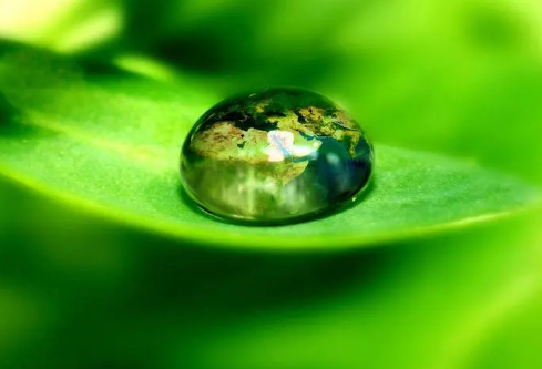 1692986916129370.png image.png