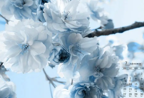 1692987082685453.png image.png