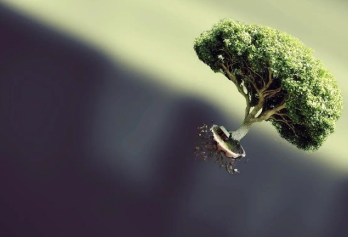 1692987413953110.png image.png