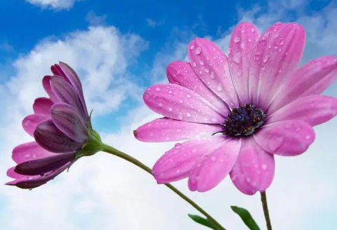 1692987578542200.png image.png