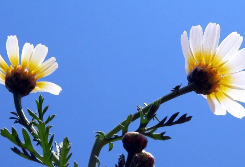 1692987744225916.png image.png