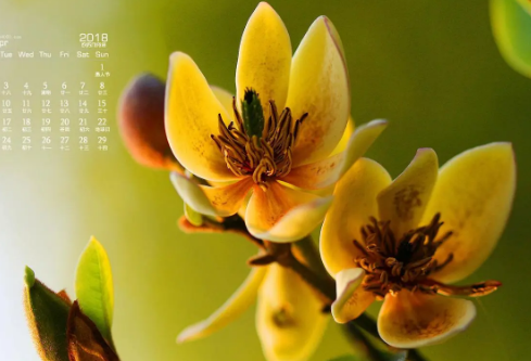 1692988075834429.png image.png