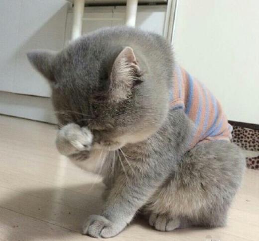 给自己一个微笑句子