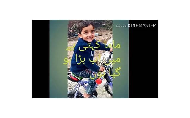 深圳河豚料理文案抖音（河豚主题餐厅）