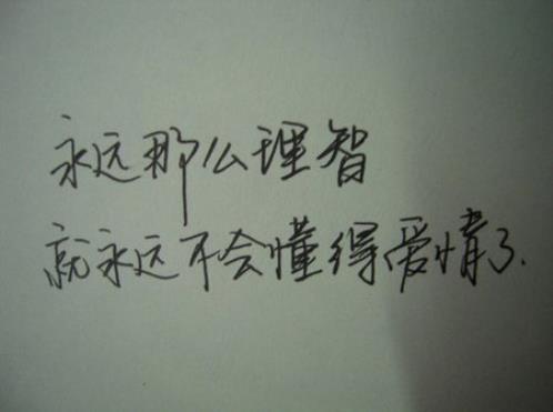 温馨浪漫唯美爱情句子简短(平淡爱情的唯美句子)