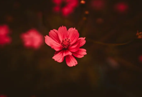 1687283260739088.png image.png