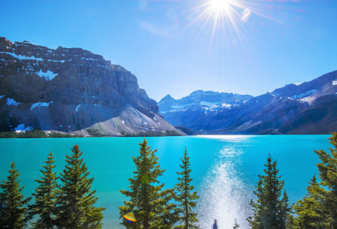 1711149203270459.png image.png