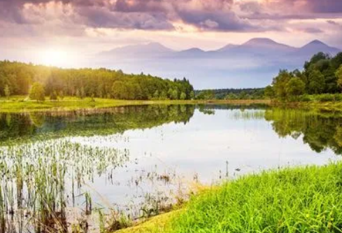 1711147708255228.png image.png