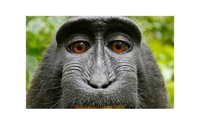 生意不好的幽默的句子 说说今年生意难做幽默的句子