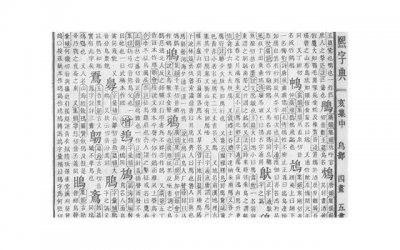 ​与其 不如 造句子(合集41句)