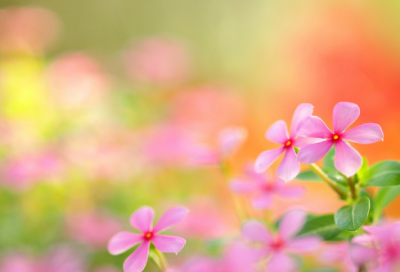 ​最好的扣扣说说个性签名