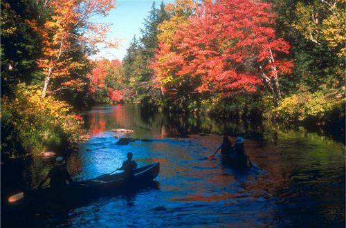 【推荐】2025年qq空间伤感句子汇总90条