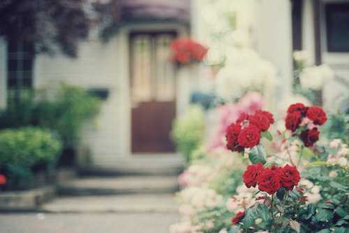 陪伴的唯美句子大全 相互陪伴的唯美短句(精选136句)