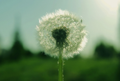 ​适合立冬发的朋友圈文案