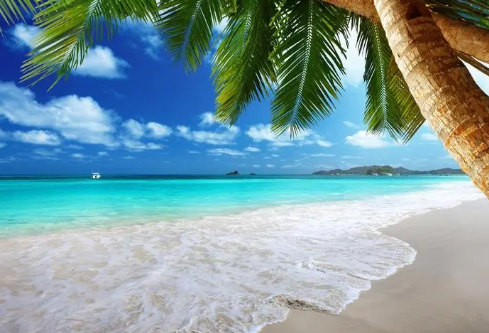 1711096820175210.png image.png