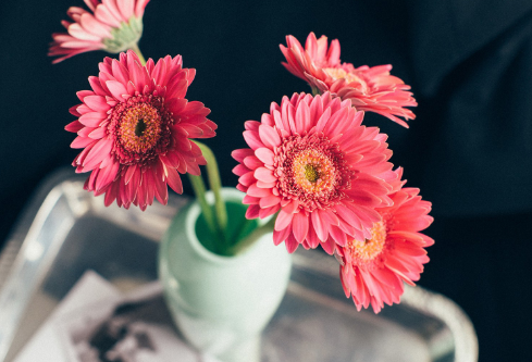 1687272756960383.png image.png