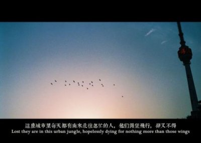 ​你好火焰蓝经典语录 月你好