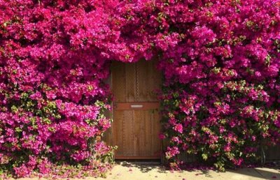 ​二个字独特好听名字(569个)