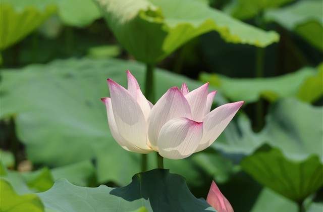 激励自己奋斗的微信名(140个)