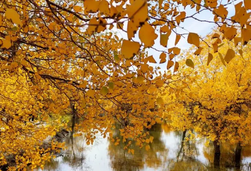 1688428498591251.png image.png