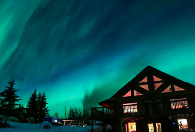 ​描写树的经典语录(描写奇迹的经典语录)