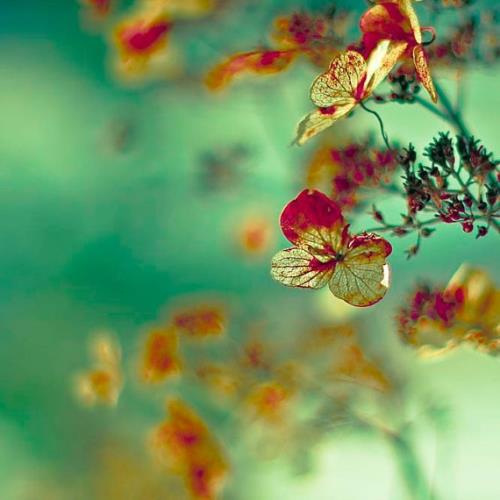 抖音网红句子最新