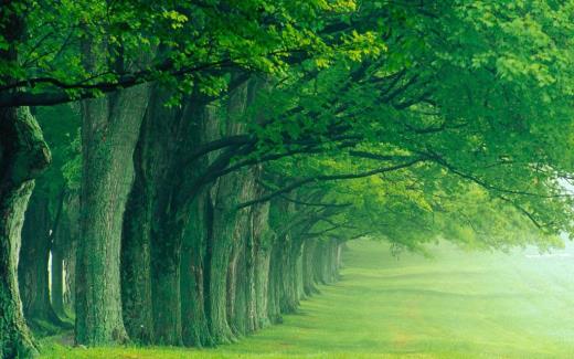 2026年最火的的句子