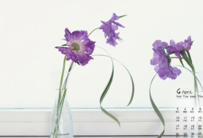 ​最新2026万圣节文案