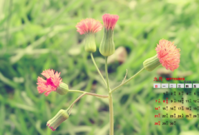 ​最火伤感文案短句-53句