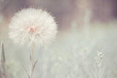 ​五一劳动节文案朋友圈大全 五一劳动节创意文案(精选99句)