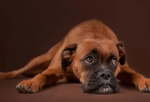 1684767961101959.png image.png