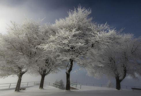 1684769123727667.png image.png