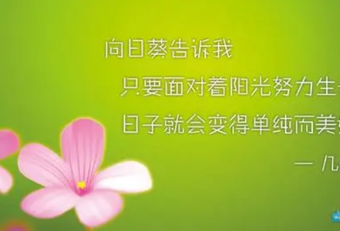 1684773432426746.png image.png