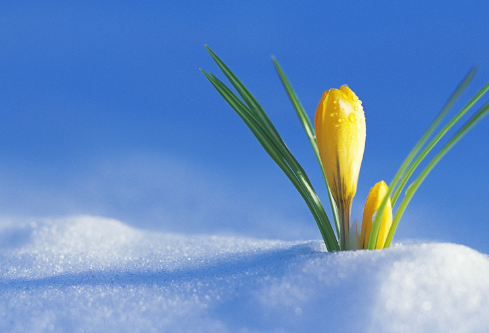 1684775824683904.png image.png