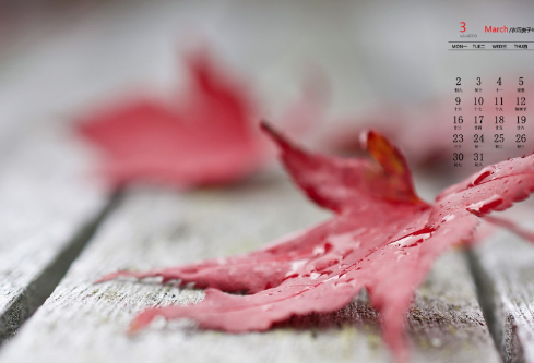 1684775990121439.png image.png