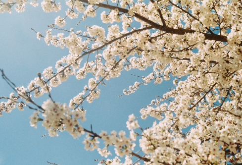 1684776986592891.png image.png