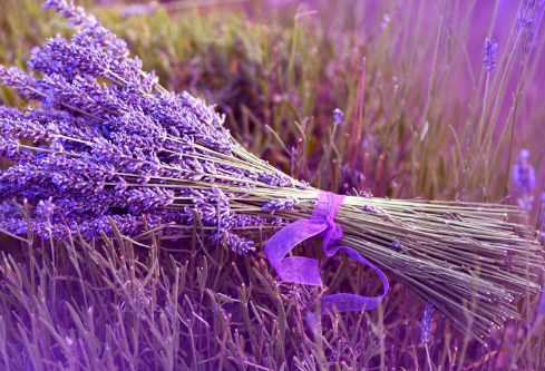 1684777152602014.png image.png