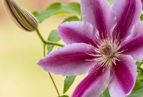 1685444529977682.png image.png