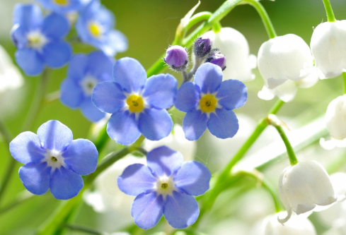 1685445029912230.png image.png