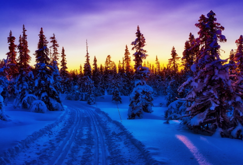 1685445362121857.png image.png