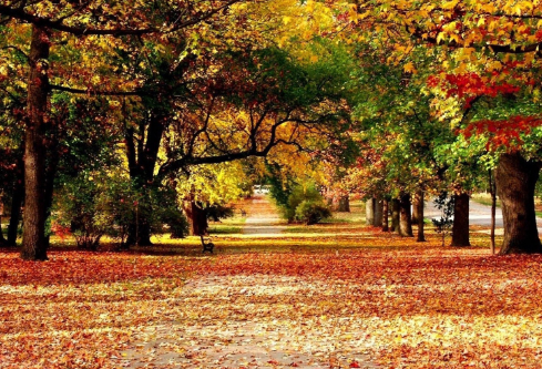 1685445528133661.png image.png