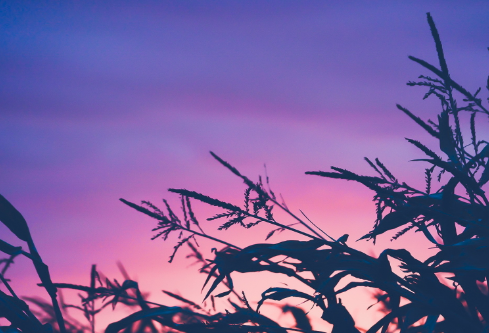 1685446528818593.png image.png