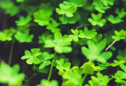 1685449525902806.png image.png