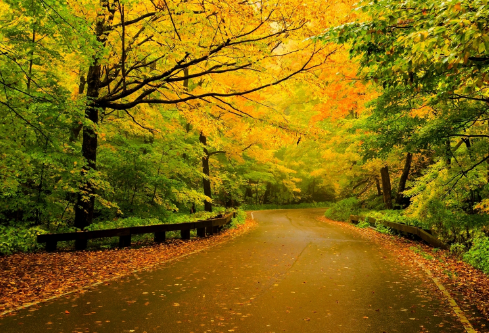 1685450191138751.png image.png