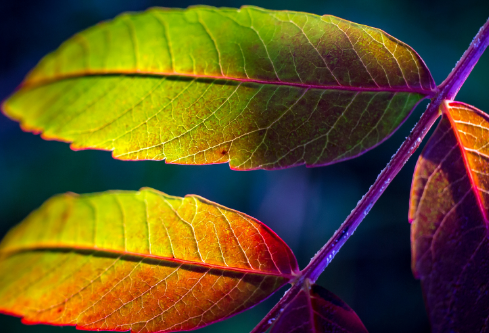 1685450857140808.png image.png