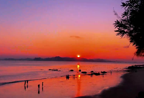 1686589977110109.png image.png