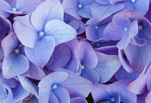 1692884610108379.png image.png