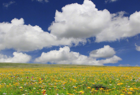 1692884941511088.png image.png